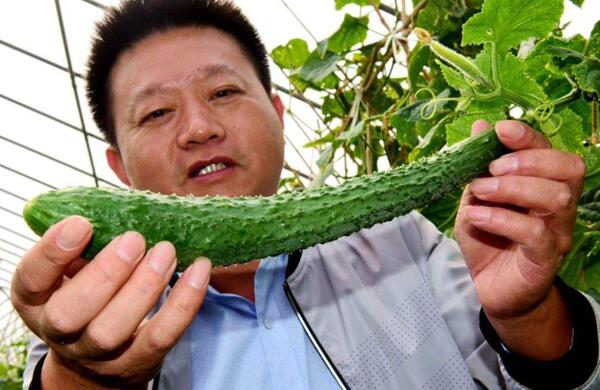 生鮮食材配送為什么大多不能與客戶建立長(zhǎng)期合作？